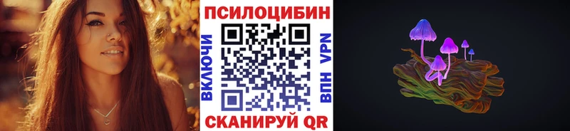 hydra как зайти Верхотурье Галлюциногенные грибы Psilocybine cubensis